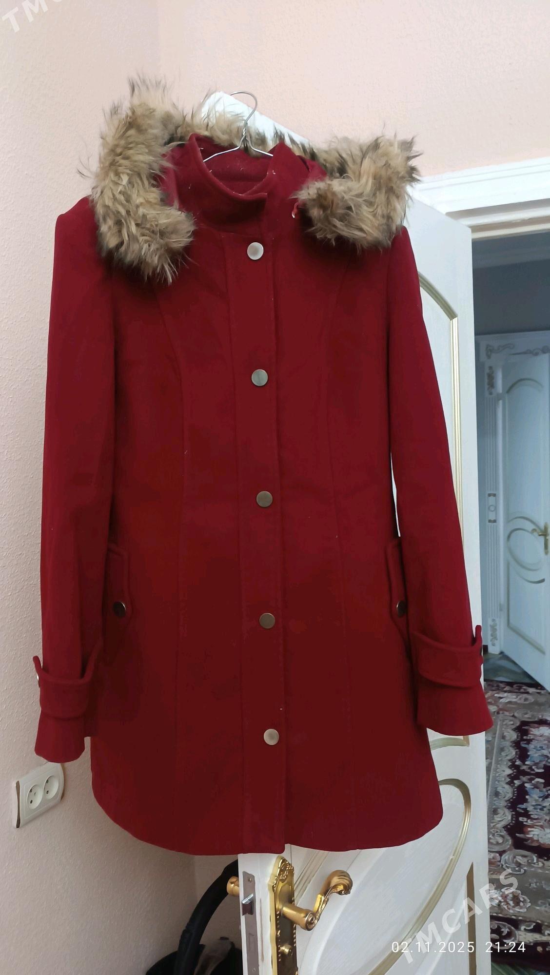 Palto. Пальто - Daşoguz - img 4