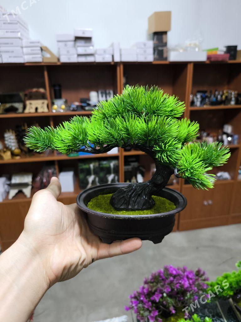 decor bag stolda goyulyan - Aşgabat - img 2