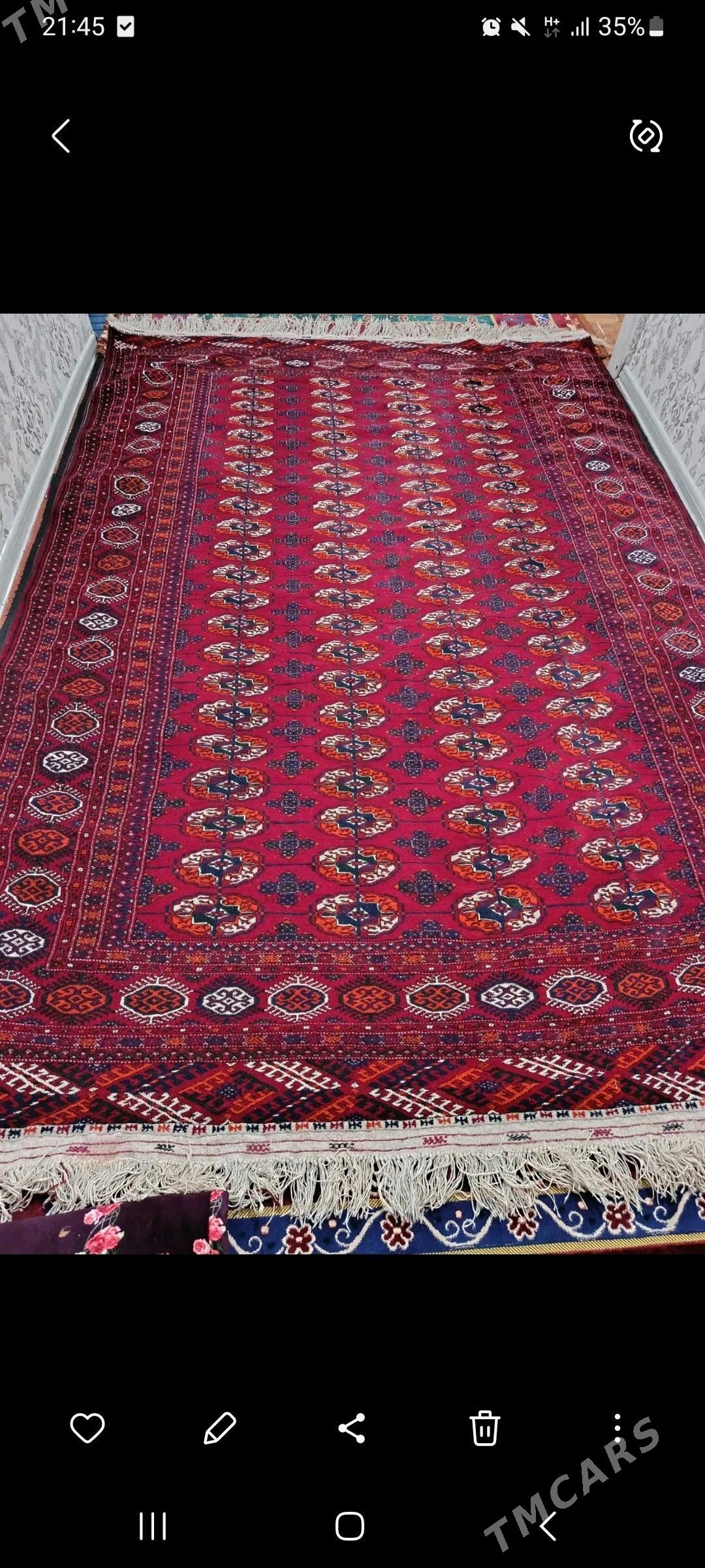 El haly - Änew - img 2