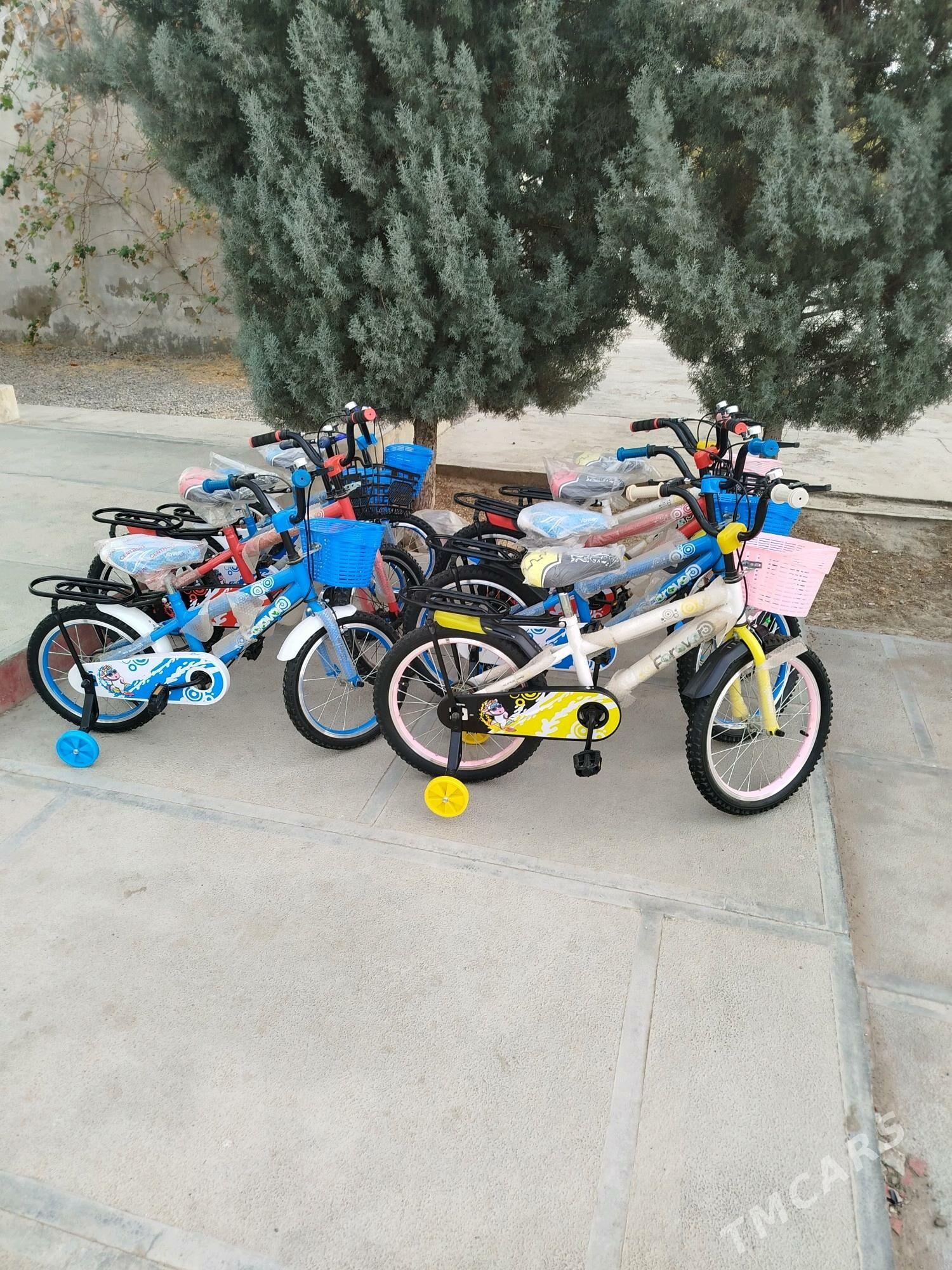 Welikler  tiger 14lik - Mary - img 3