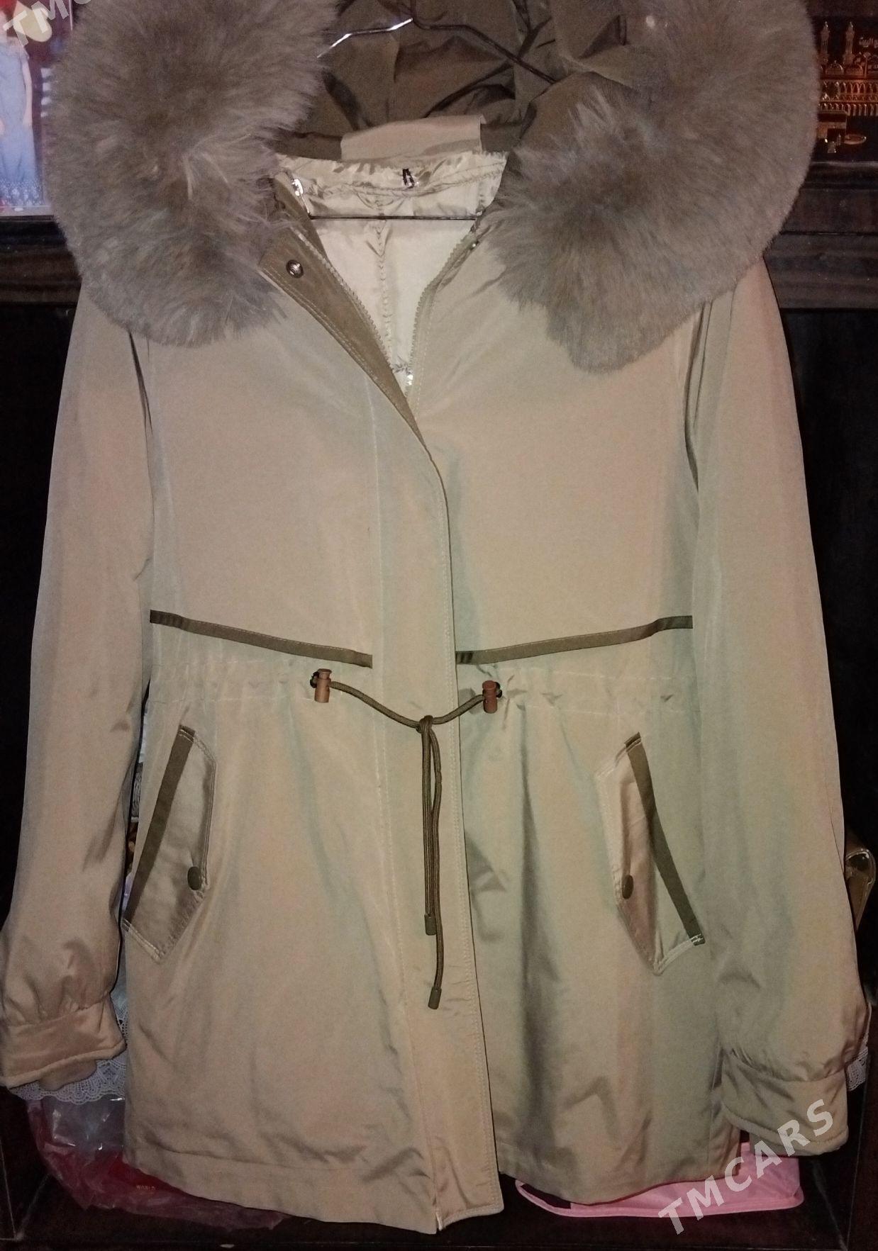 Kurtka - Daşoguz - img 1