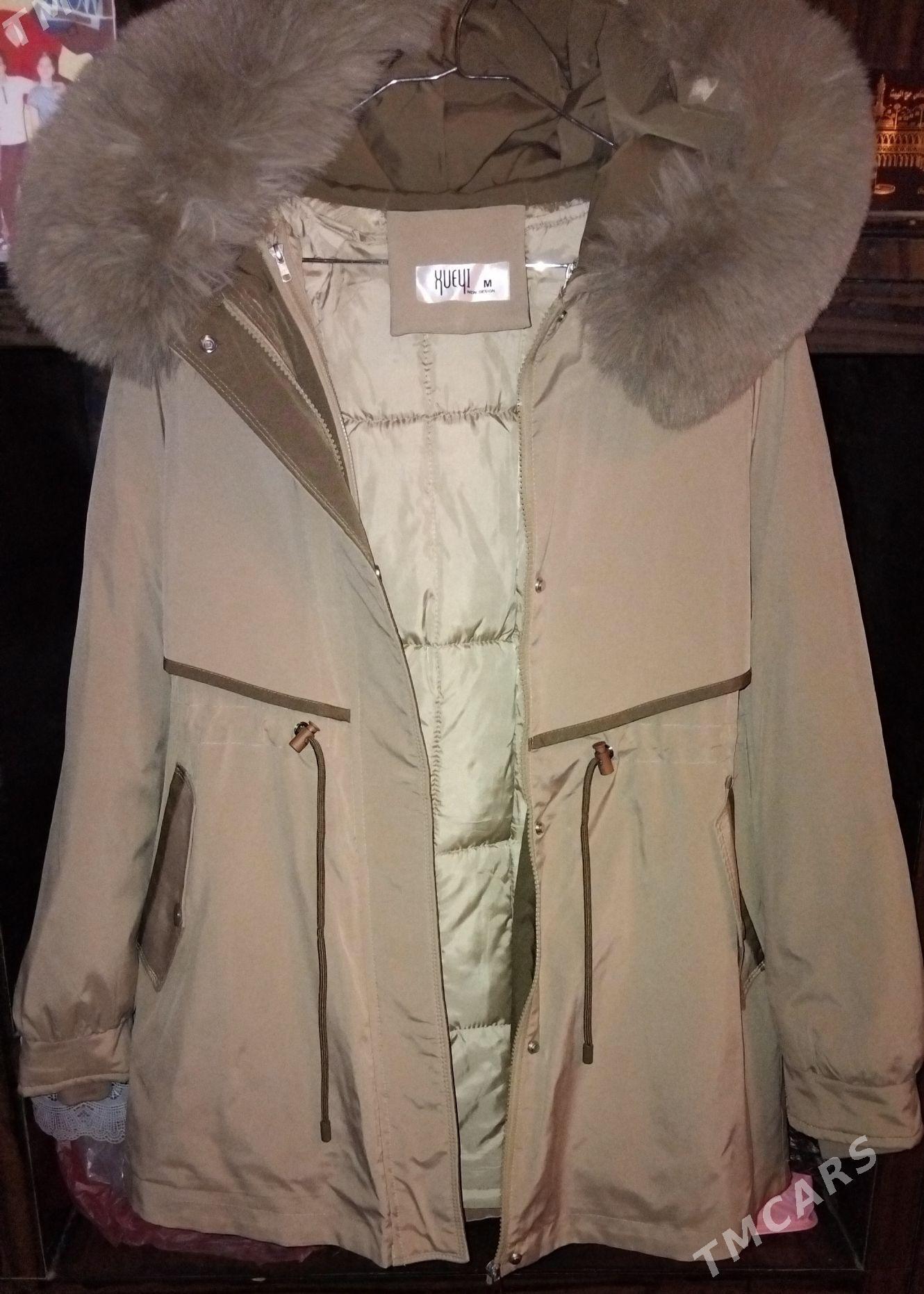 Kurtka - Daşoguz - img 2