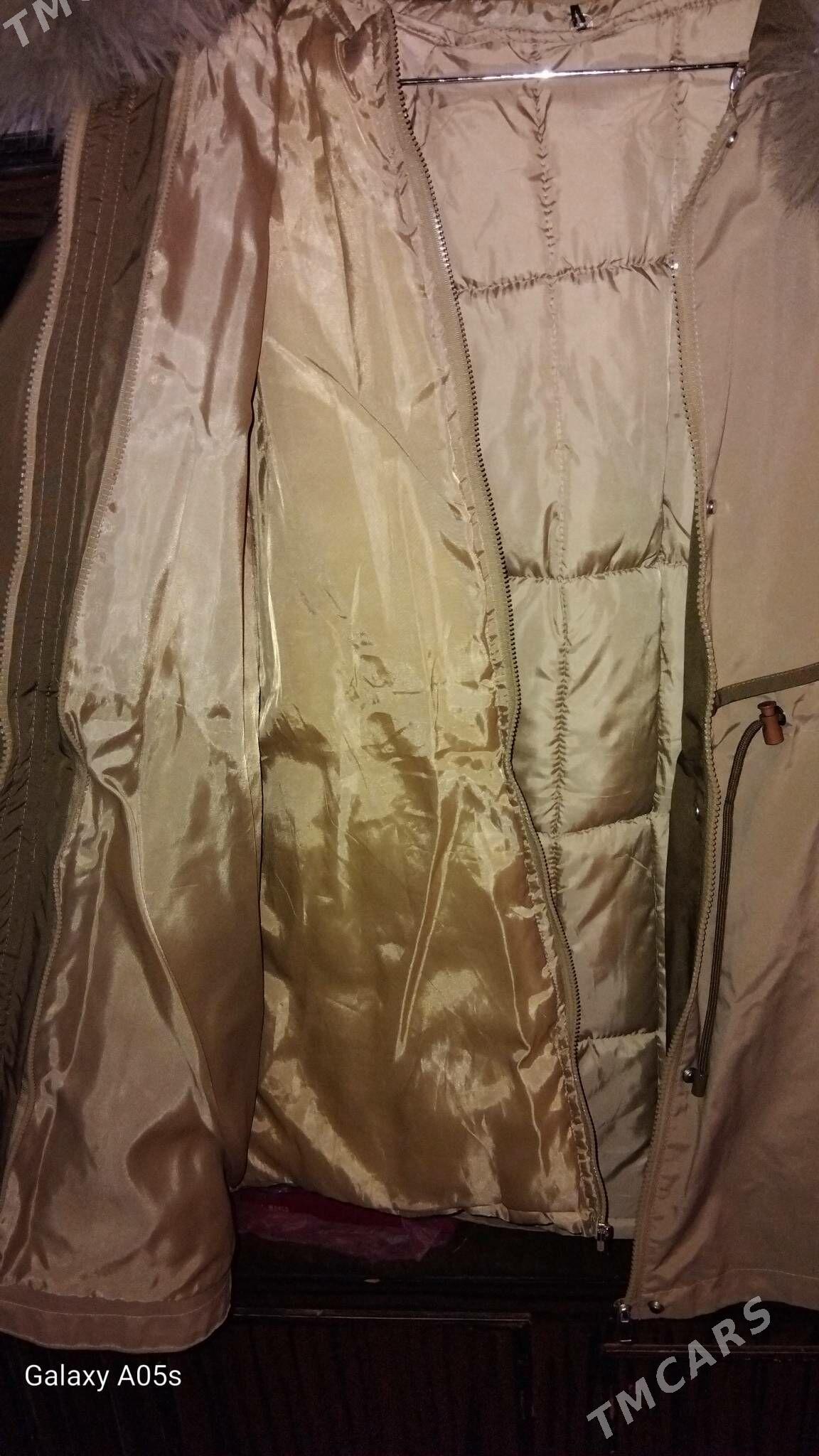 Kurtka - Daşoguz - img 4