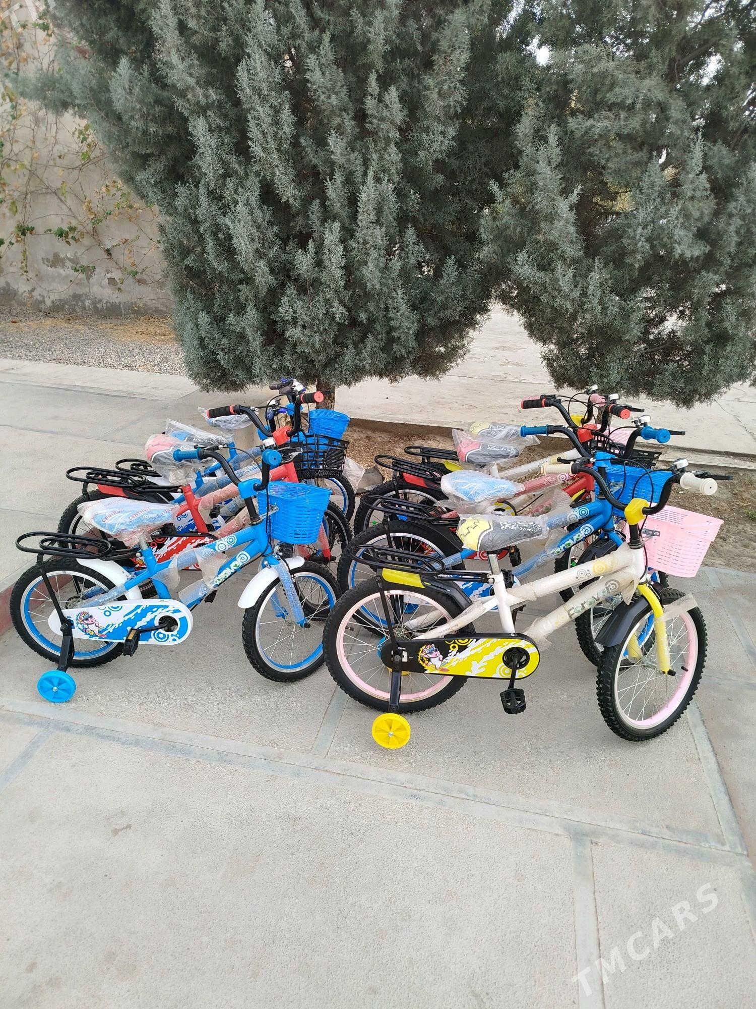 Welikler  tiger 14lik - Mary - img 2