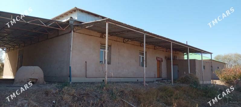 план жай - Akdepe - img 2