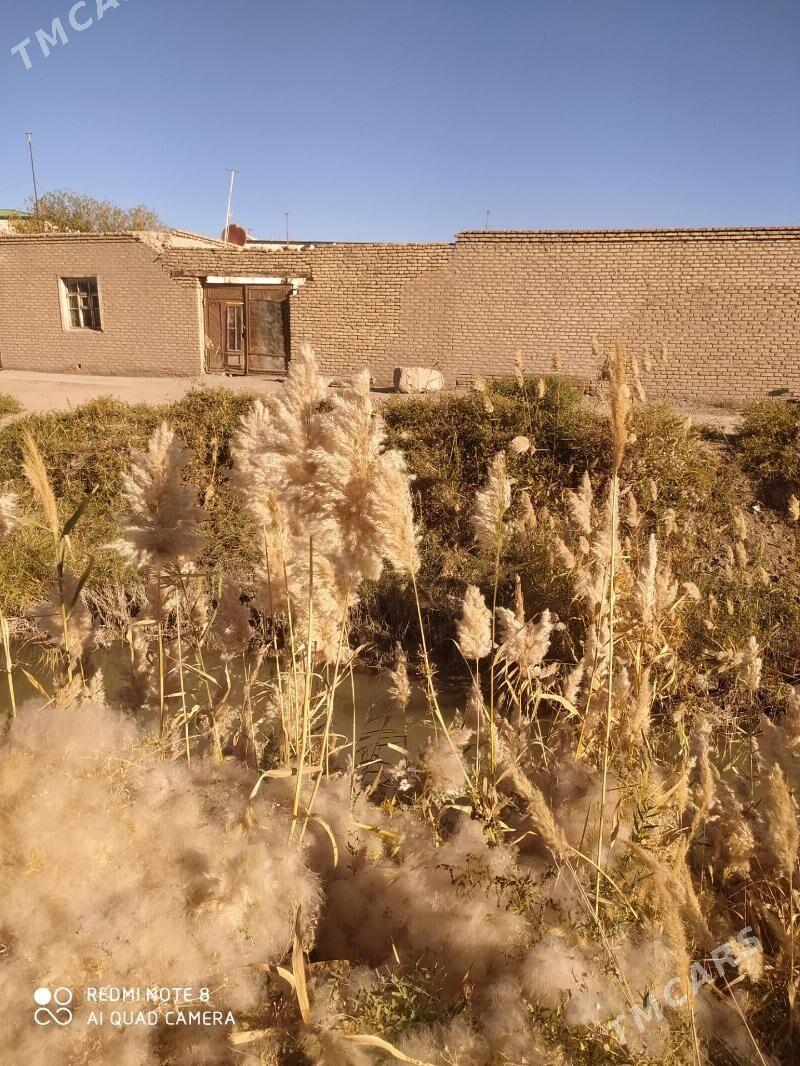 jay - Дашогуз - img 1