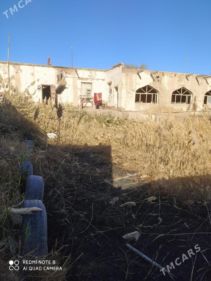 jay - Дашогуз - img 2