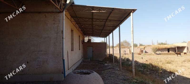 план жай - Akdepe - img 3