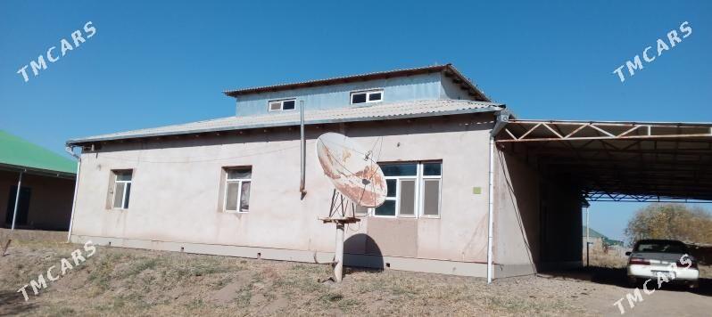 план жай - Akdepe - img 9