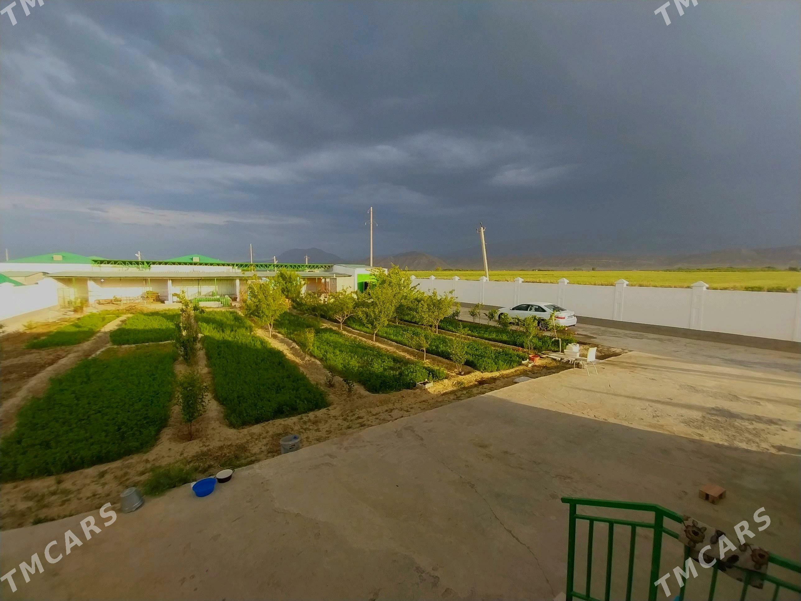 Gokdpe Yañgala - Гёкдепе - img 4