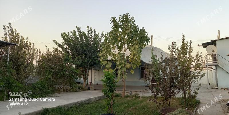 Satlyk jay - Гёкдепе - img 10