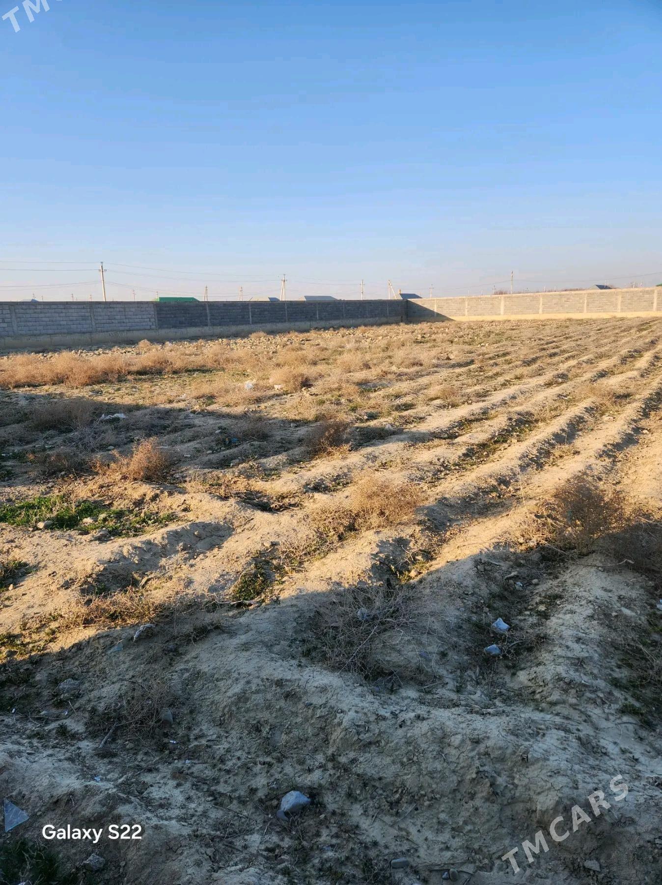 Mellek Yer - Bäherden - img 3