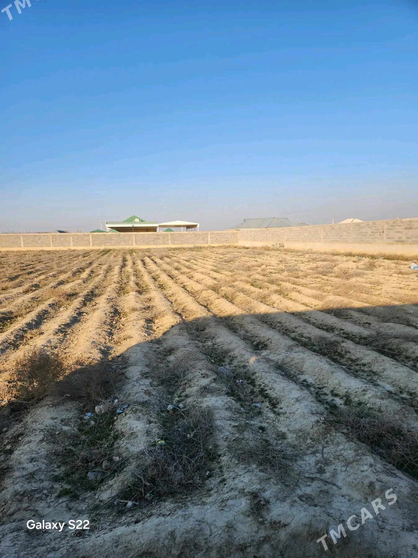 Mellek Yer - Bäherden - img 4