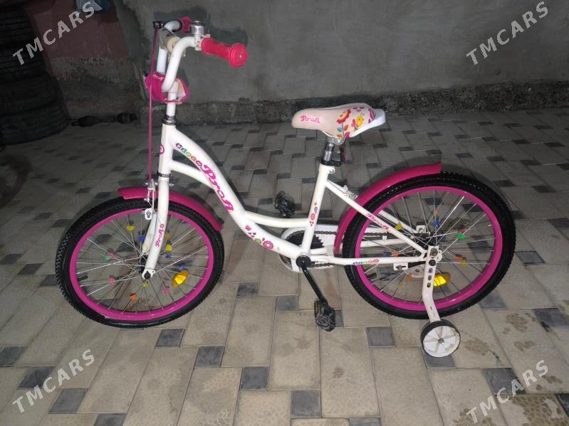 ведик - Мары - img 3