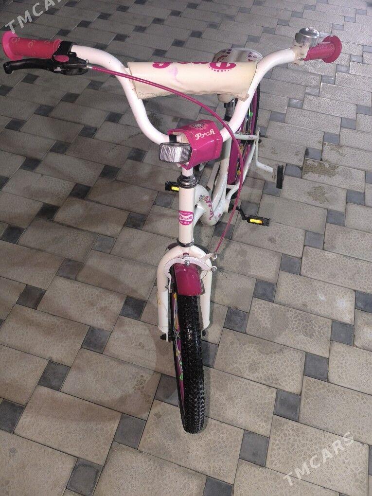 ведик - Мары - img 2