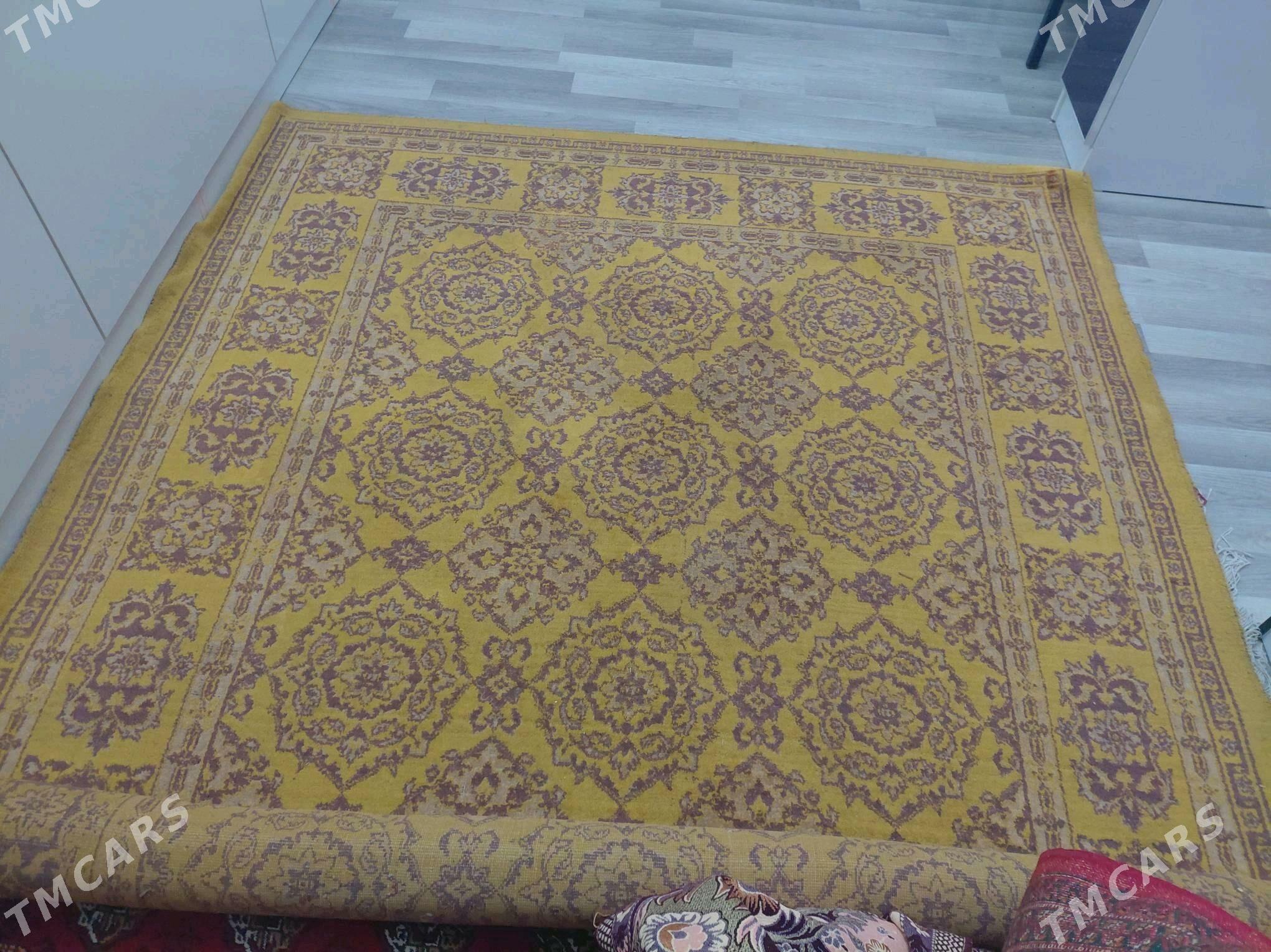 Haly - Büzmeýin GRES - img 3