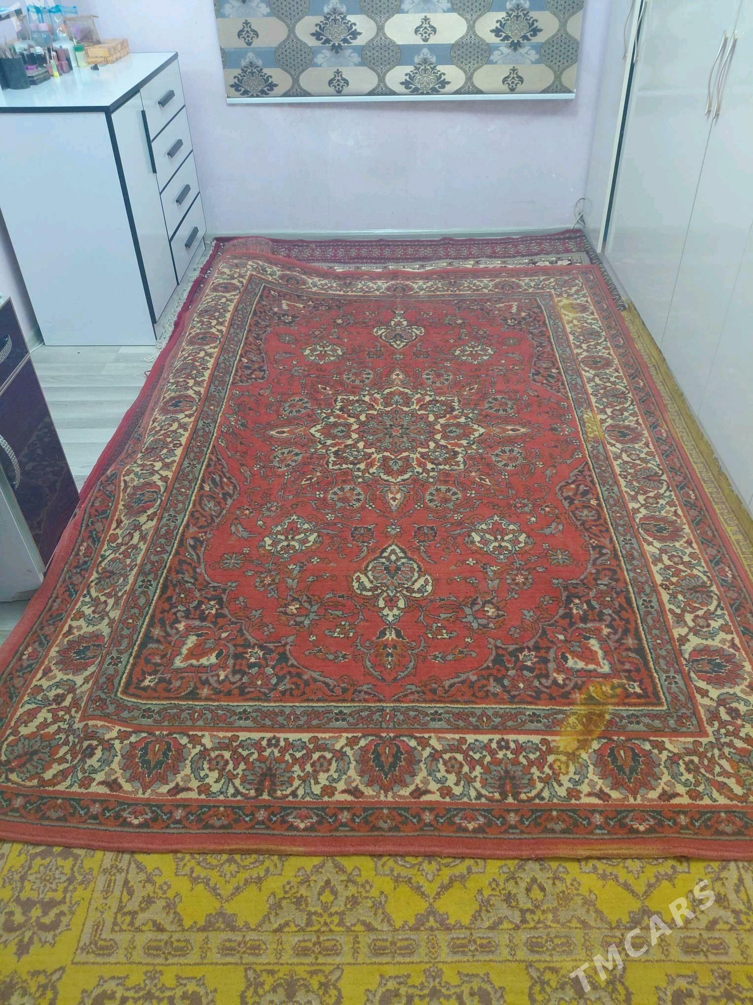 Haly - Büzmeýin GRES - img 2