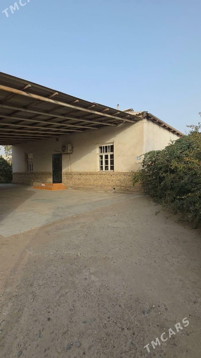 Mary muhat obyezd howly jay - Мары - img 1