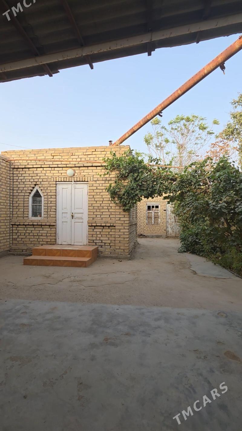 Mary muhat obyezd howly jay - Мары - img 3