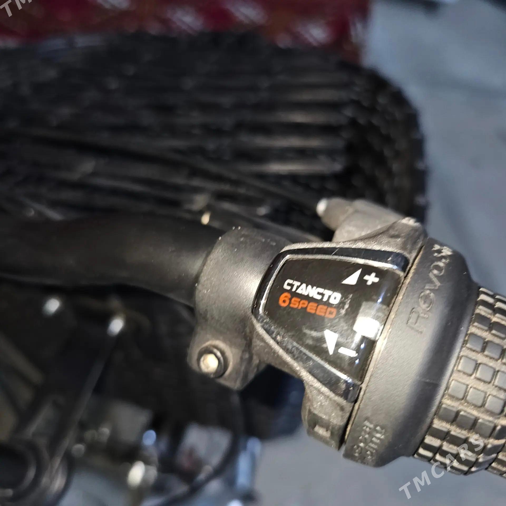 Arassa Yapon tigir - Bagyr - img 6