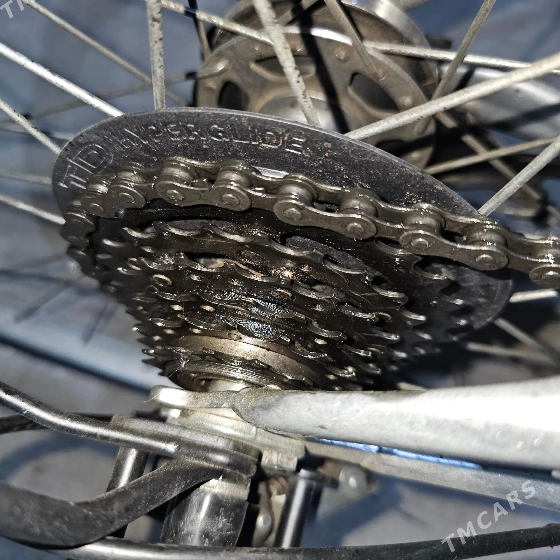 Arassa Yapon tigir - Багир - img 1