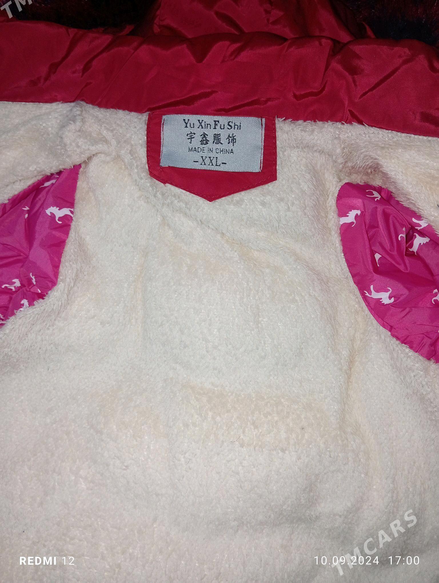 caga kurtga - Gyzylarbat - img 1