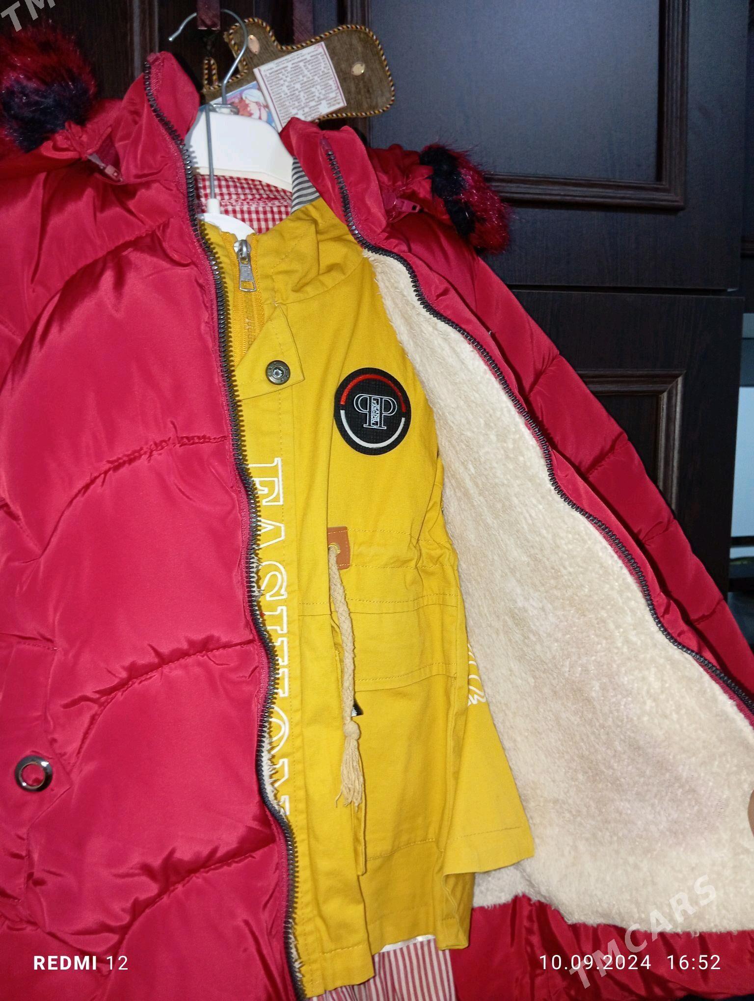 caga kurtga - Gyzylarbat - img 2