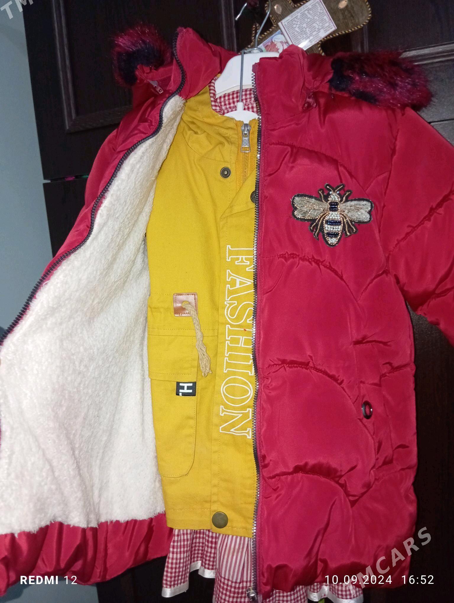 caga kurtga - Gyzylarbat - img 3