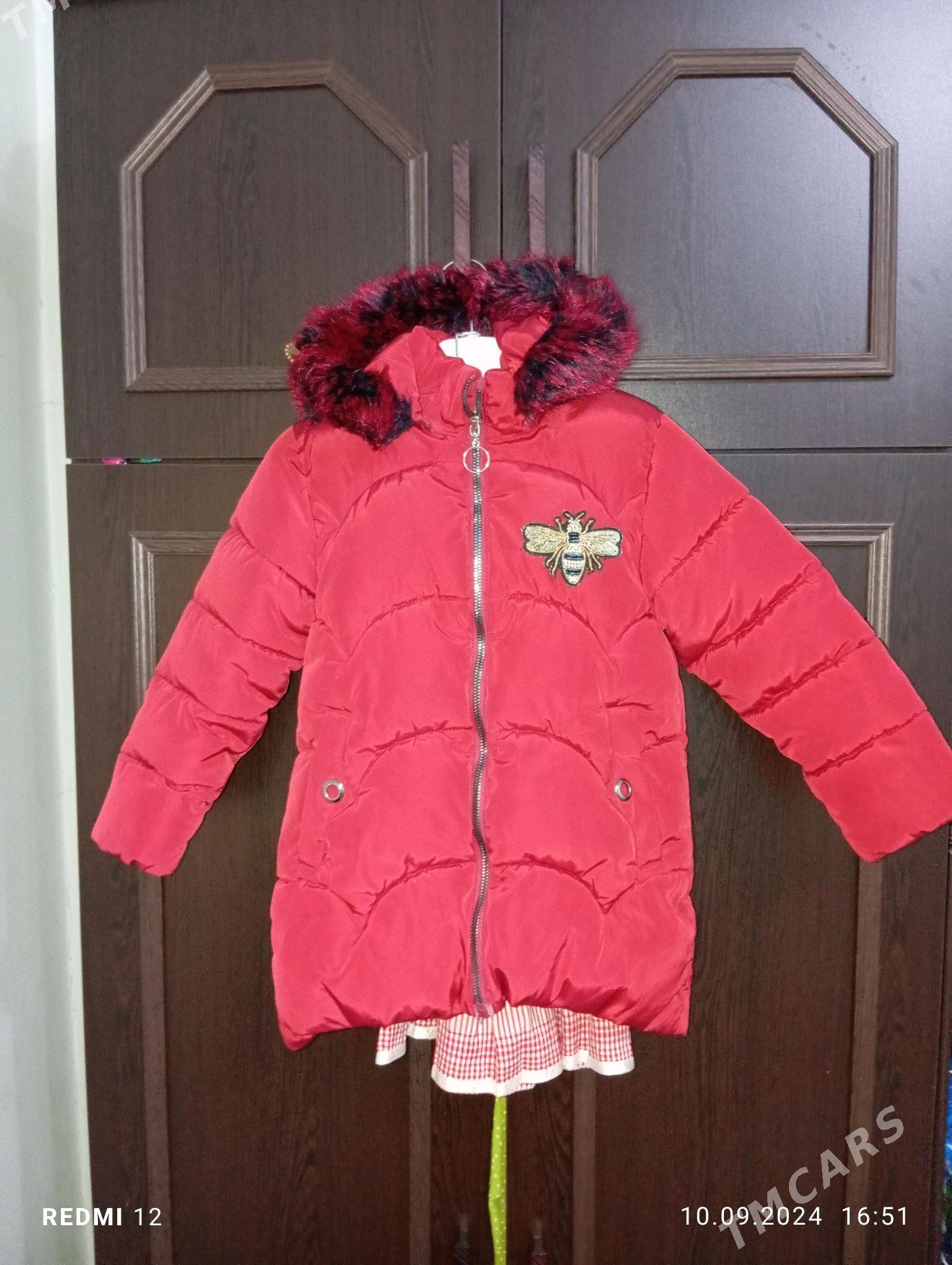 caga kurtga - Gyzylarbat - img 5