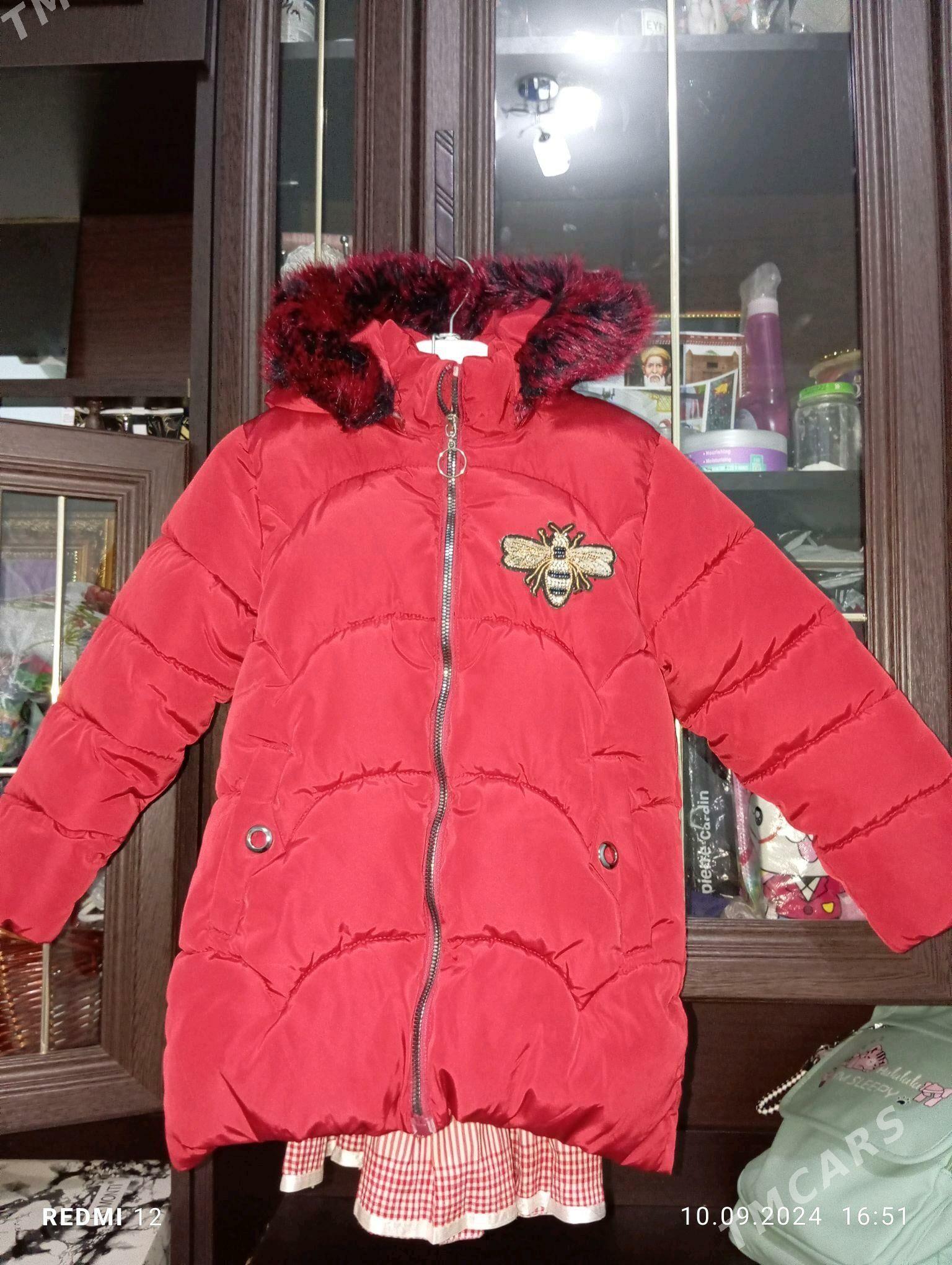 caga kurtga - Gyzylarbat - img 6