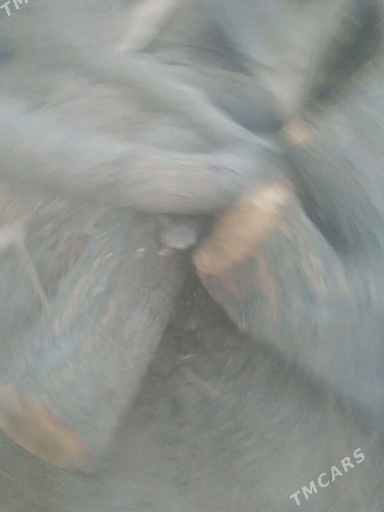 saslik odyn - Şabat etr. - img 2