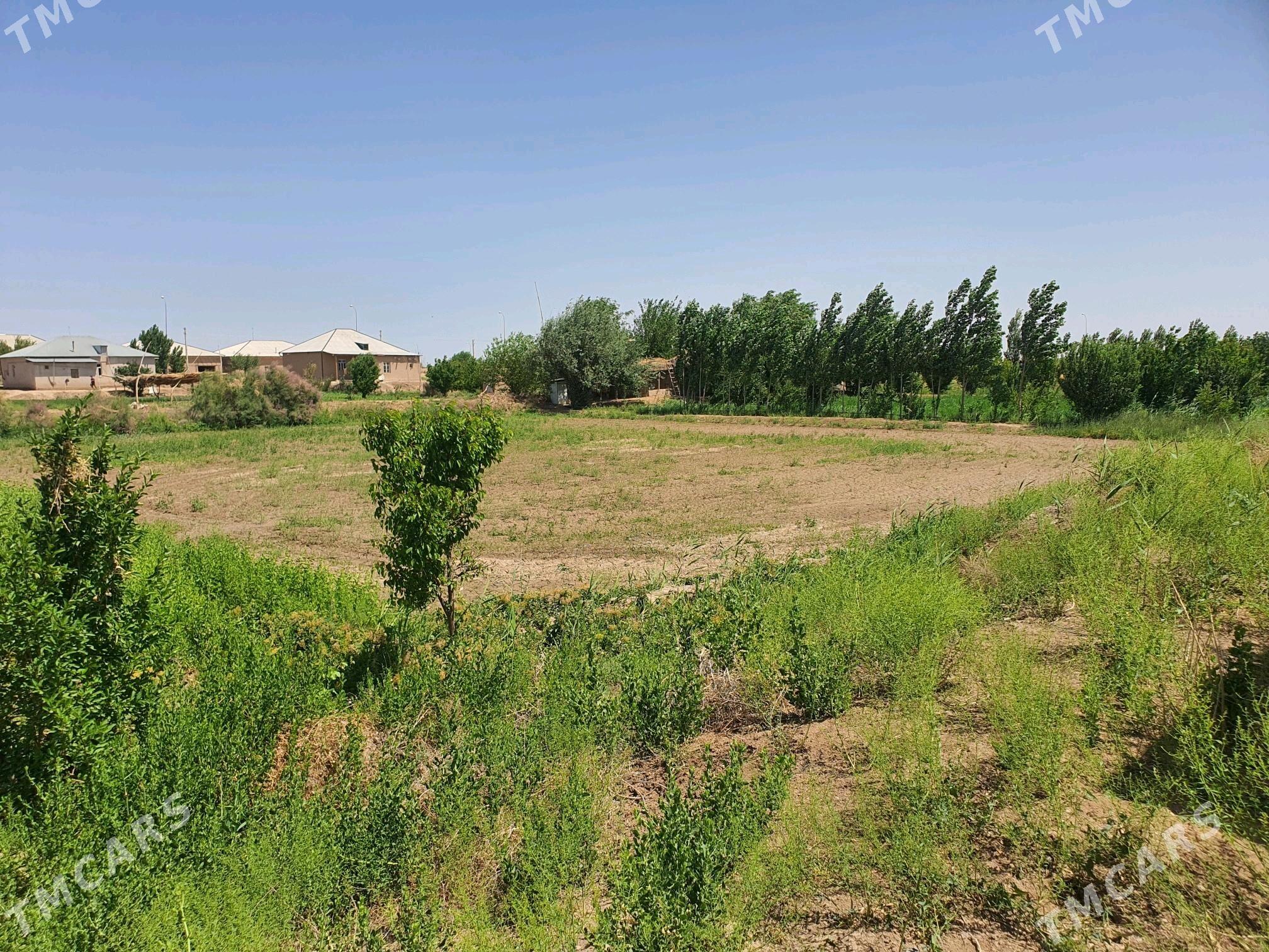 сатлк жай - Рухубелентский этрап - img 3