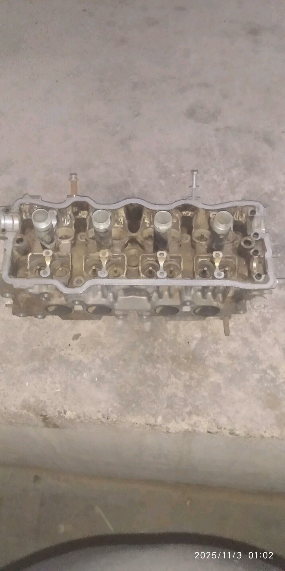 Galoka 800 TMT - Сакарчага - img 2