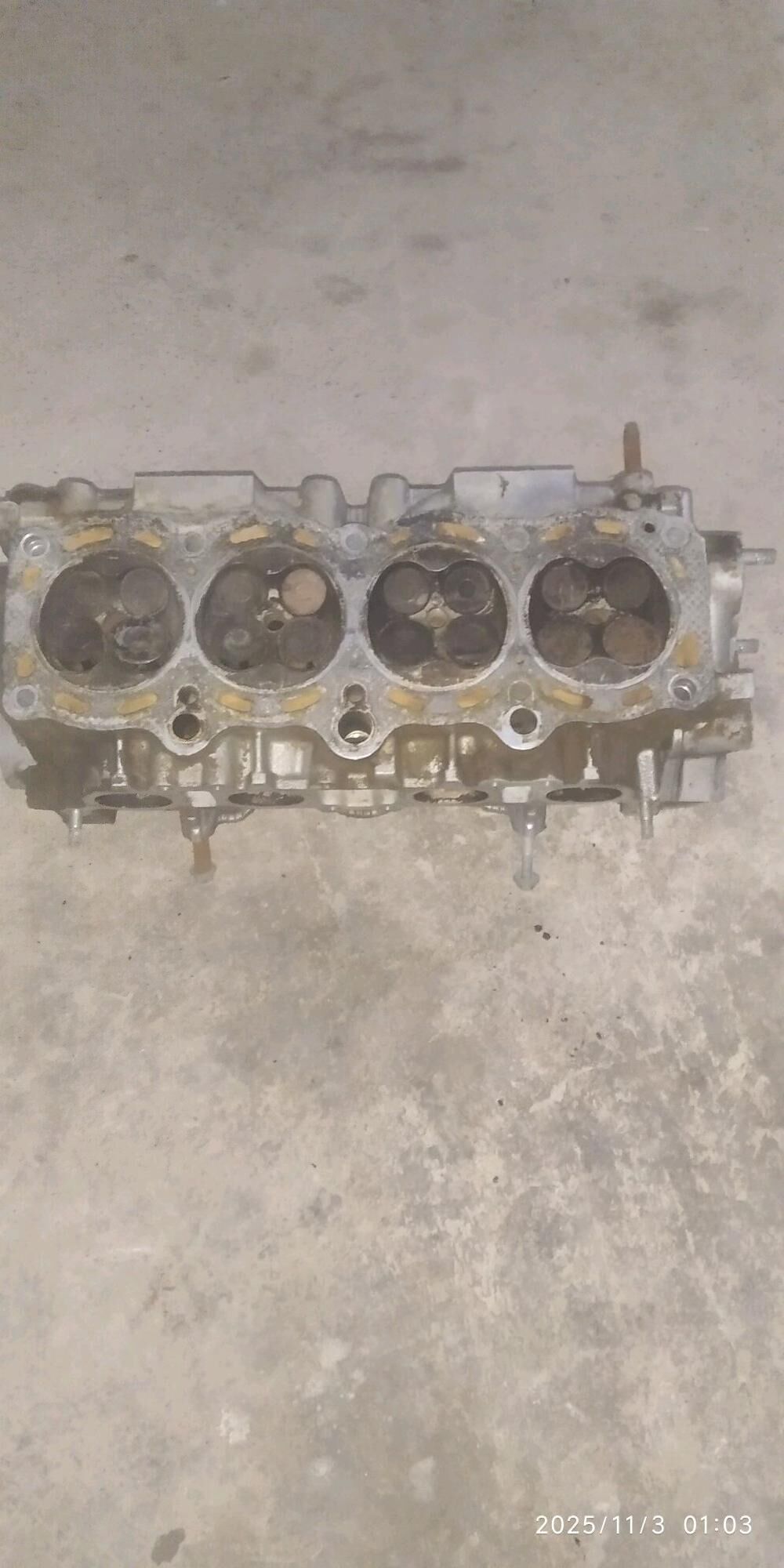 Galoka 800 TMT - Сакарчага - img 1