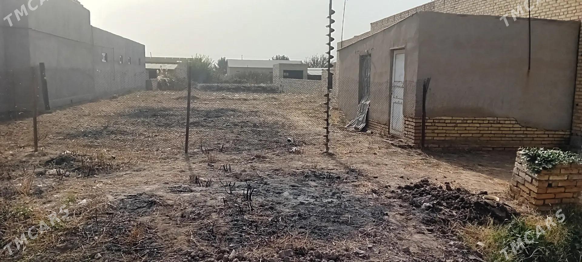 Mellek - Туркменабат - img 8