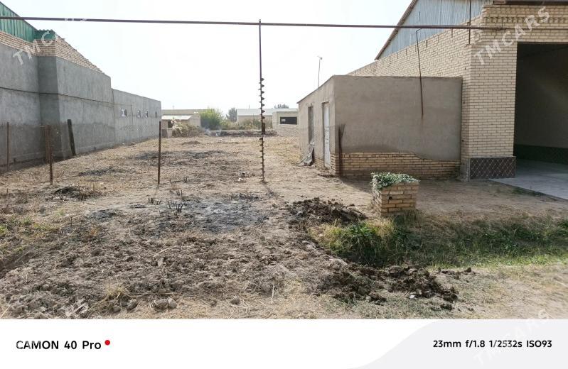 Mellek - Туркменабат - img 9