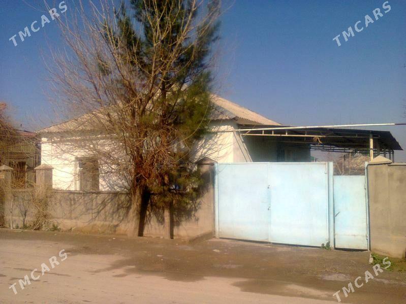 Änew - Änew - img 2