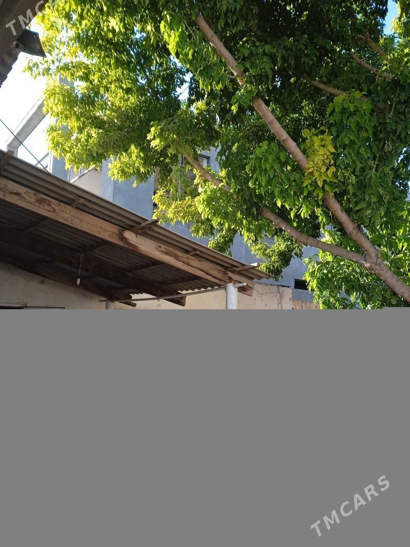 Änew - Änew - img 6