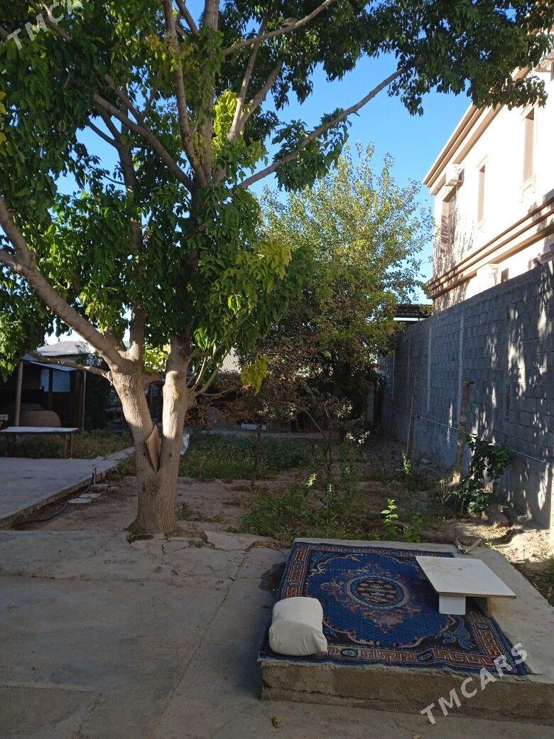 Änew - Änew - img 8