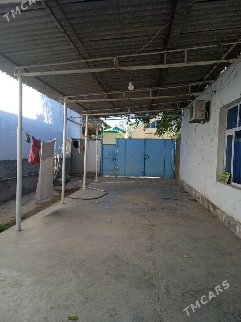 Änew - Änew - img 7