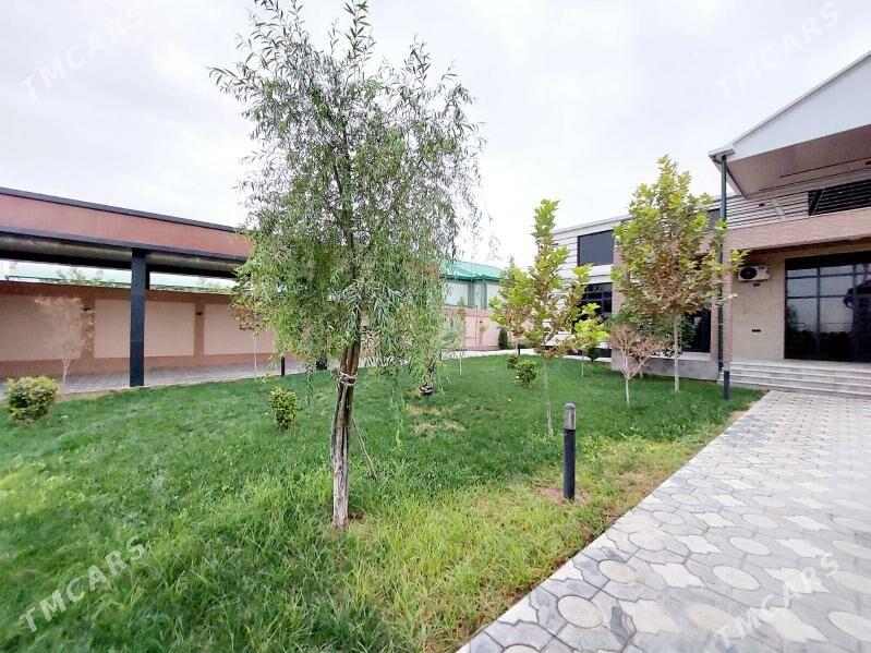 Yalkym jay - Ялкым - img 4