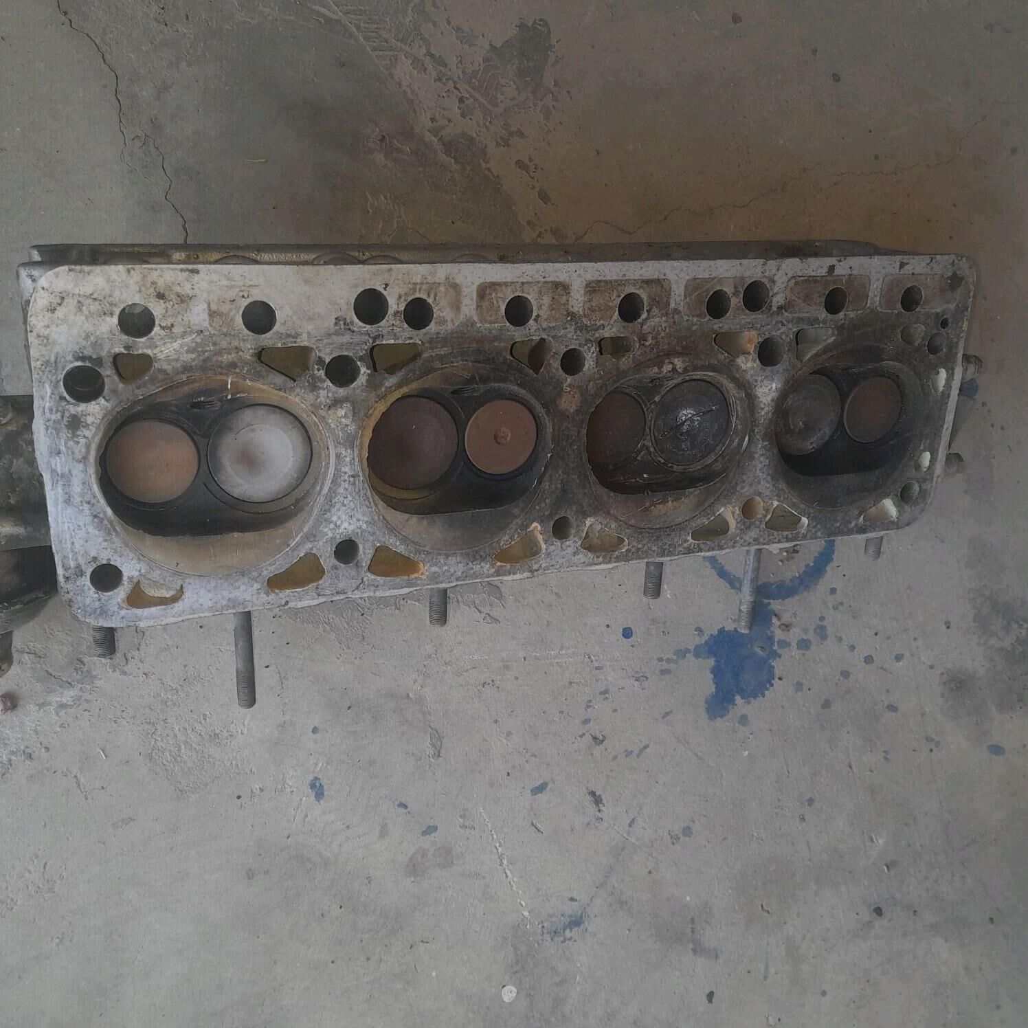 Gazel galowka 3 000 TMT - Губадаг - img 1