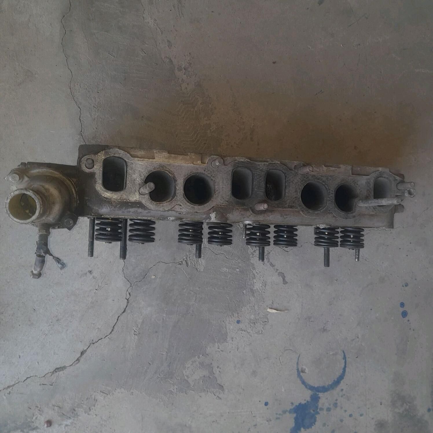 Gazel galowka 3 000 TMT - Губадаг - img 3