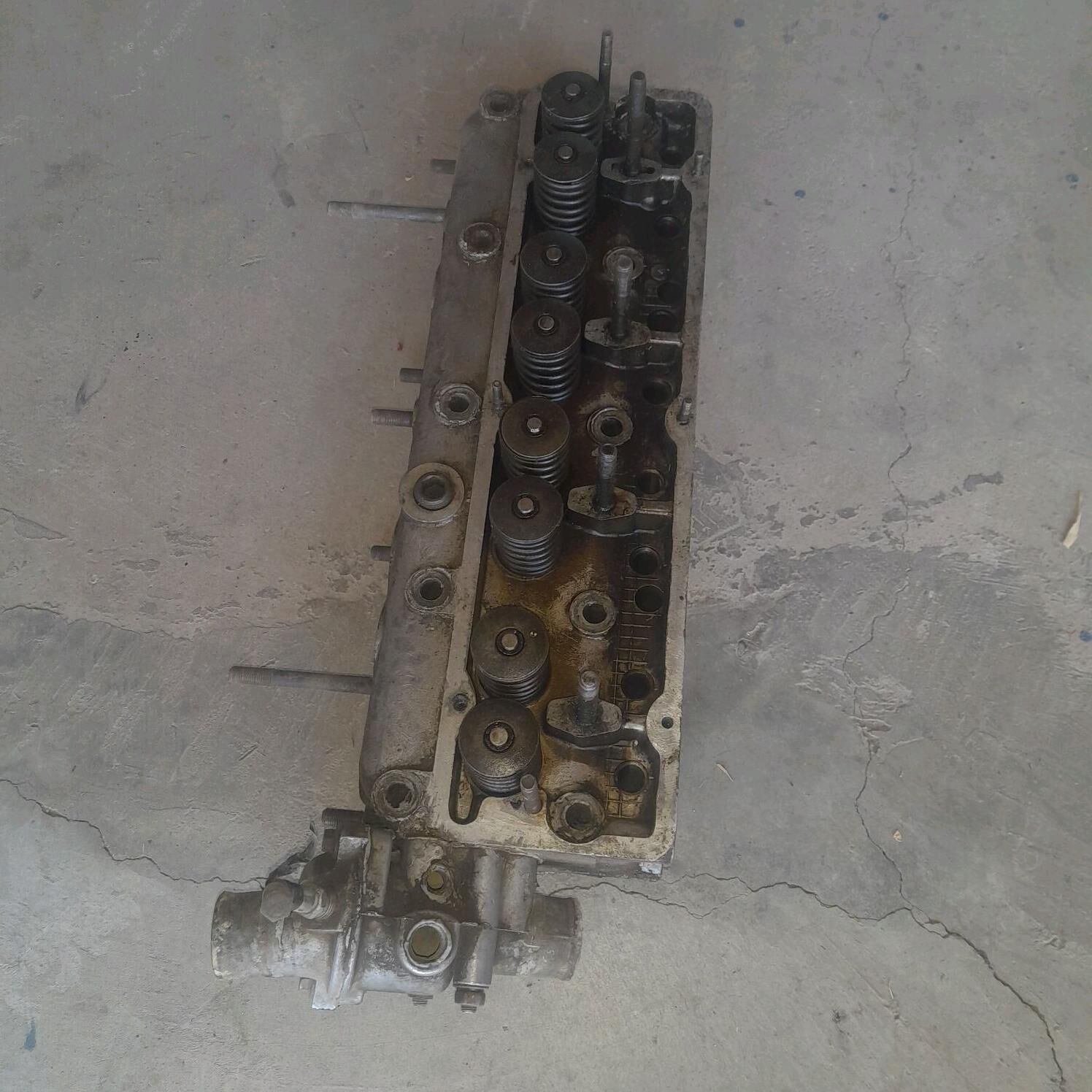 Gazel galowka 3 000 TMT - Губадаг - img 2