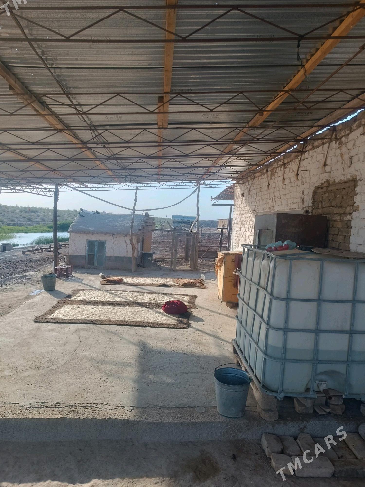 ишгер герек - Türkmenabat - img 3