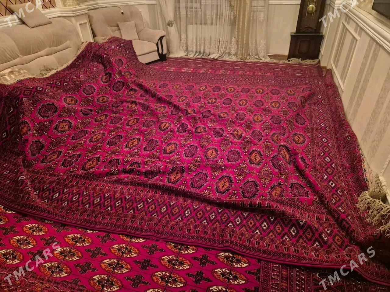 El haly arter - Aşgabat - img 2