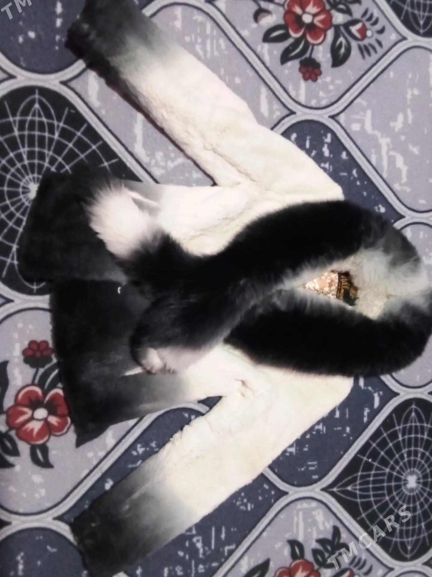 suba - Дашогуз - img 2