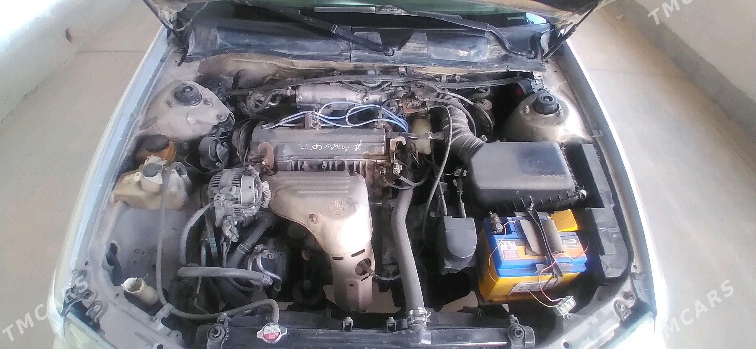 Toyota Camry 2001 - 140 000 TMT - Halaç - img 7