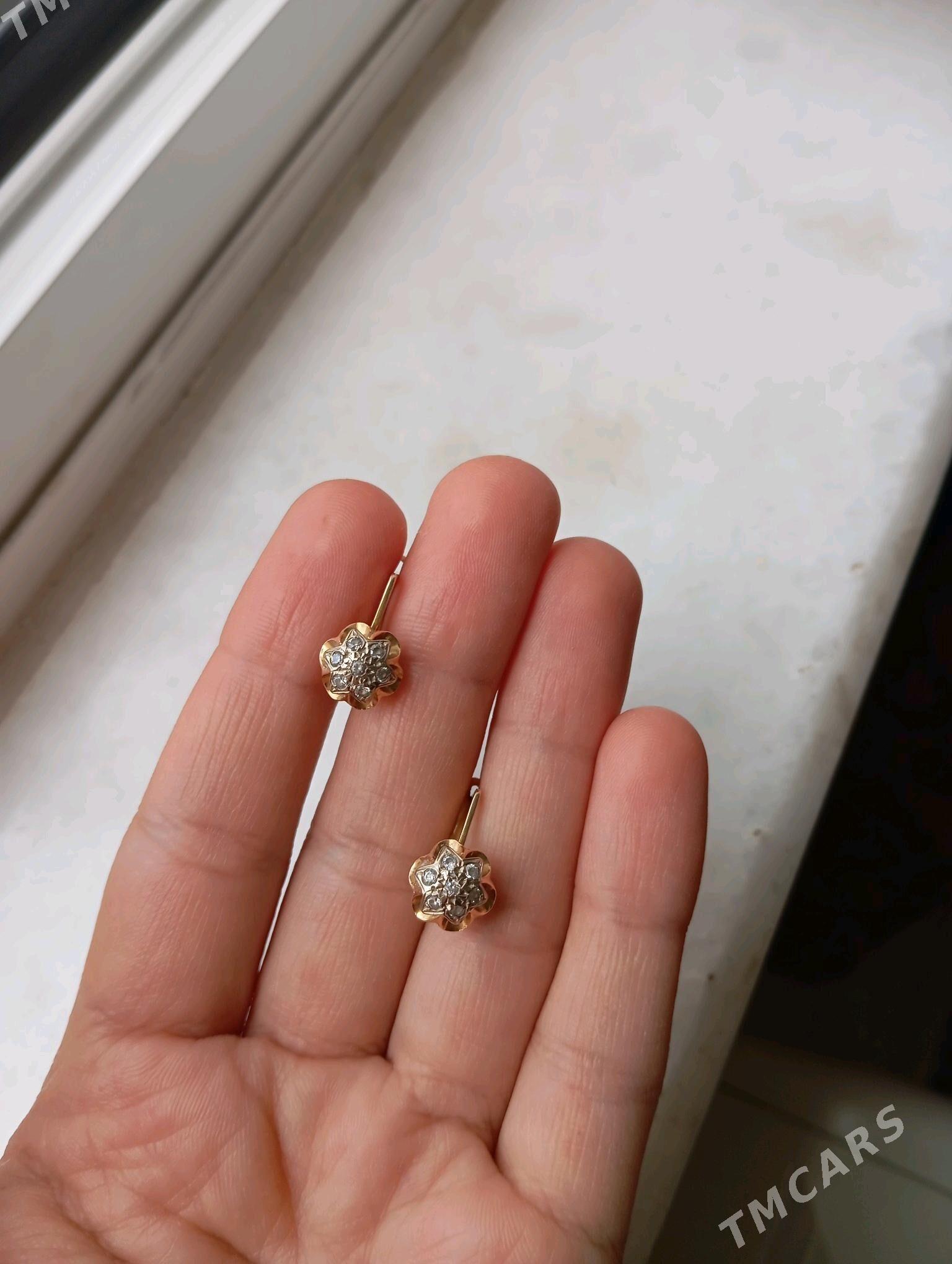 gyzyl gulakhalka - Köşi - img 3