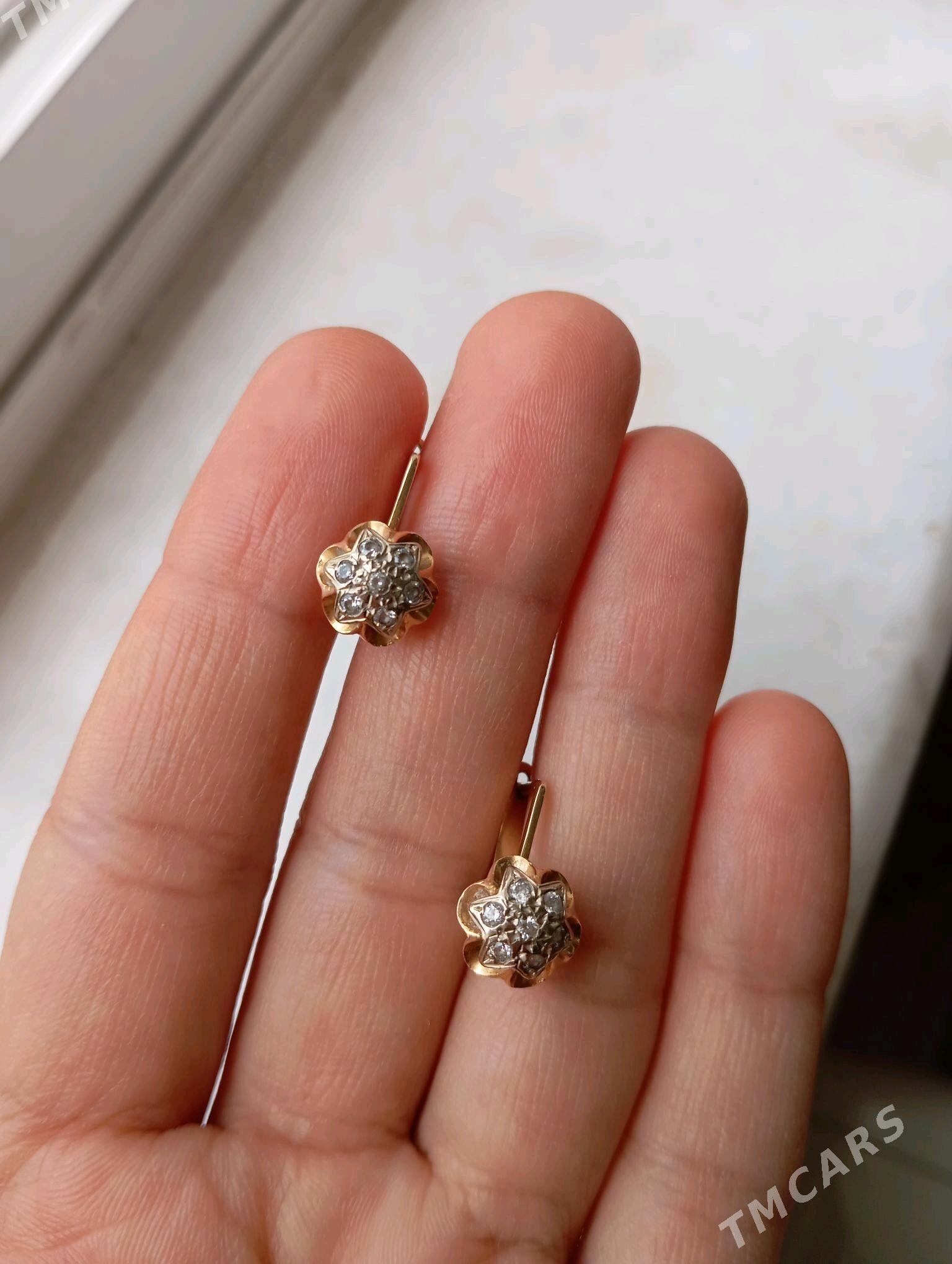 gyzyl gulakhalka - Köşi - img 1